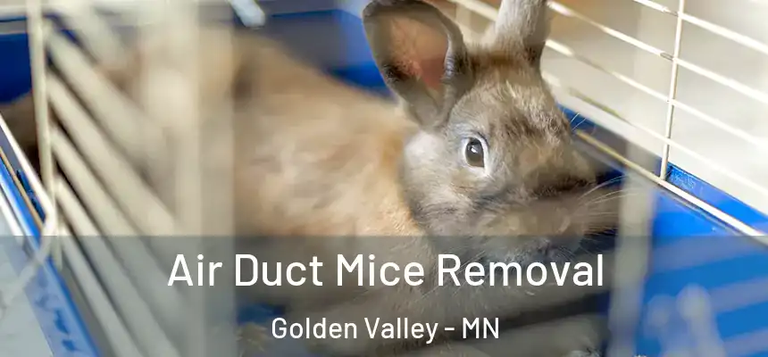 Air Duct Mice Removal Golden Valley - MN