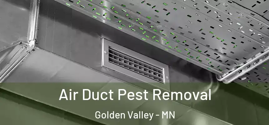 Air Duct Pest Removal Golden Valley - MN