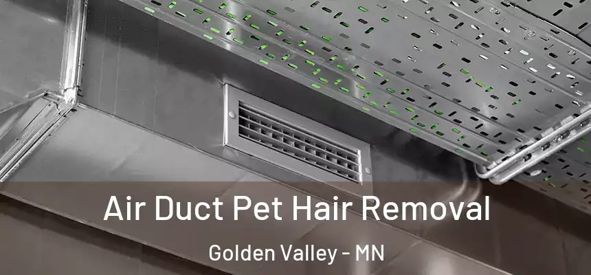 Air Duct Pet Hair Removal Golden Valley - MN