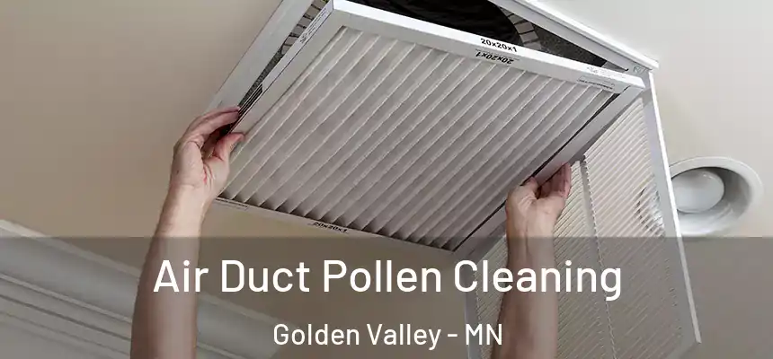 Air Duct Pollen Cleaning Golden Valley - MN