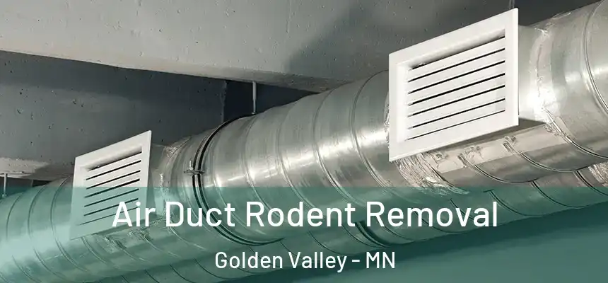  Air Duct Rodent Removal Golden Valley - MN