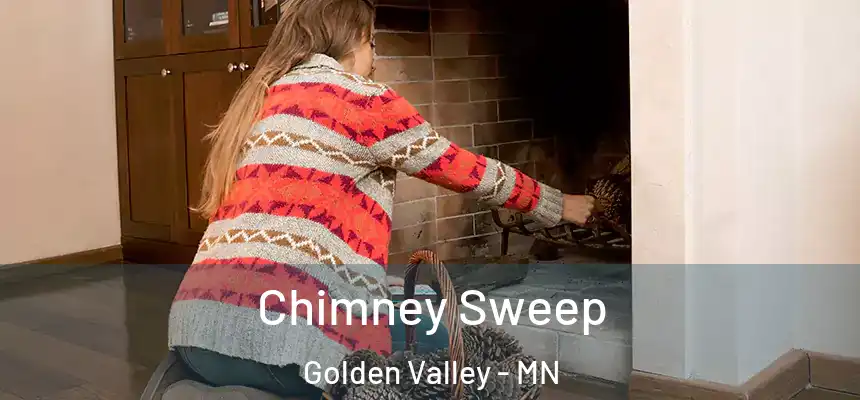  Chimney Sweep Golden Valley - MN