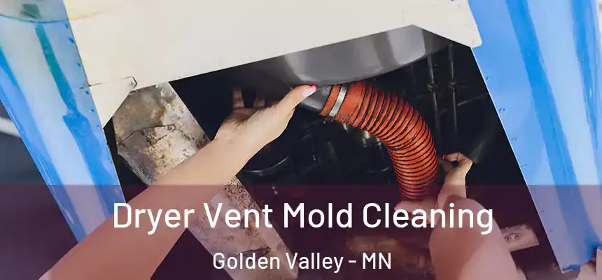 Dryer Vent Mold Cleaning Golden Valley - MN