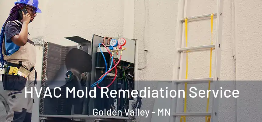  HVAC Mold Remediation Service Golden Valley - MN