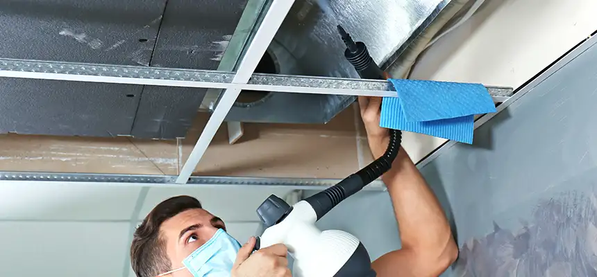 Our Air Duct Rodent Removal Services in Golden Valley, MN