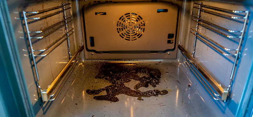 Our Dryer Vent Mold Cleaning Services in Golden Valley, MN