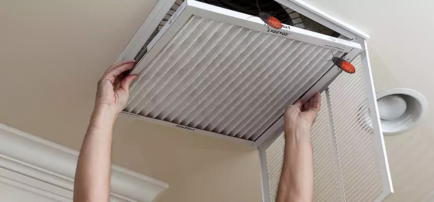 Our Insect Removal from Air Ducts Services in Golden Valley, MN