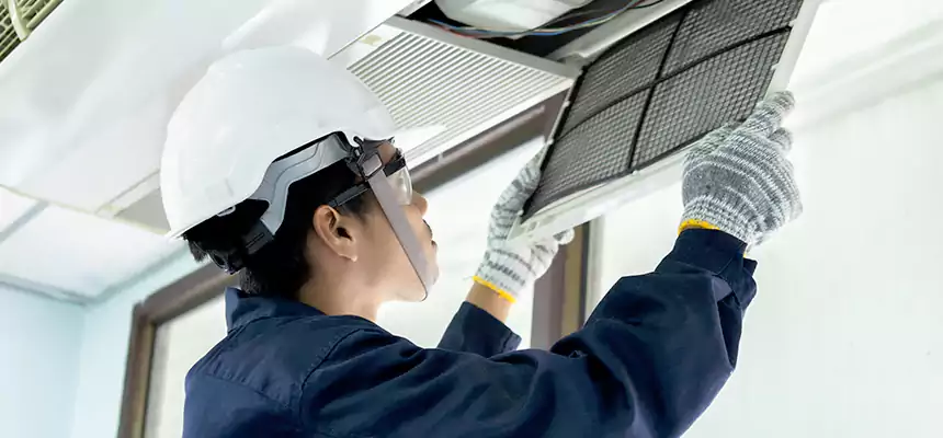 Our Mold & Mildew Removal from Air Ducts Services in Golden Valley, MN