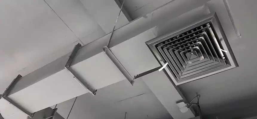 Our Pest Removal From Ducts Services in Golden Valley, MN