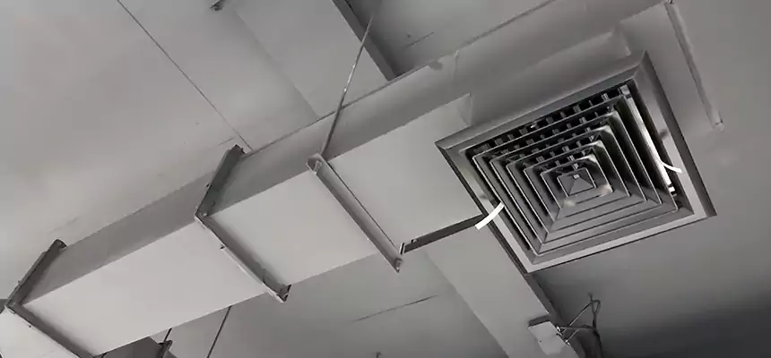 Our Rodent Droppings In Vents Services in Golden Valley, MN