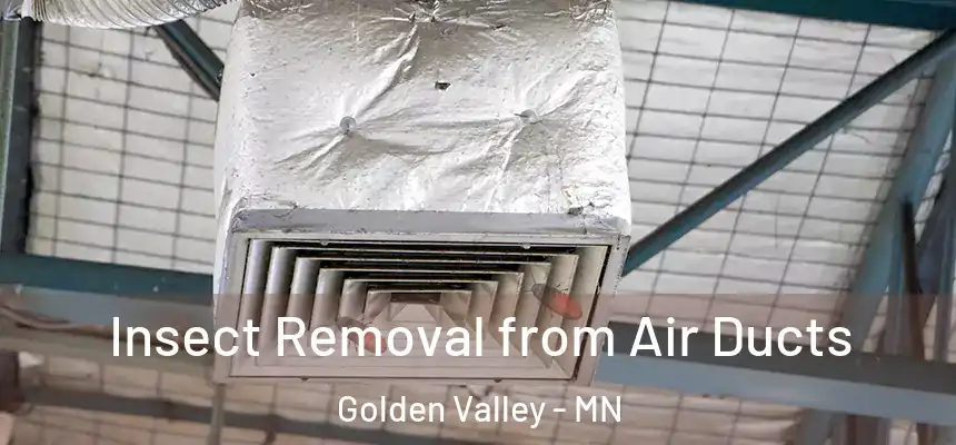 Insect Removal from Air Ducts Golden Valley - MN