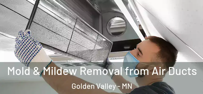 Mold & Mildew Removal from Air Ducts Golden Valley - MN