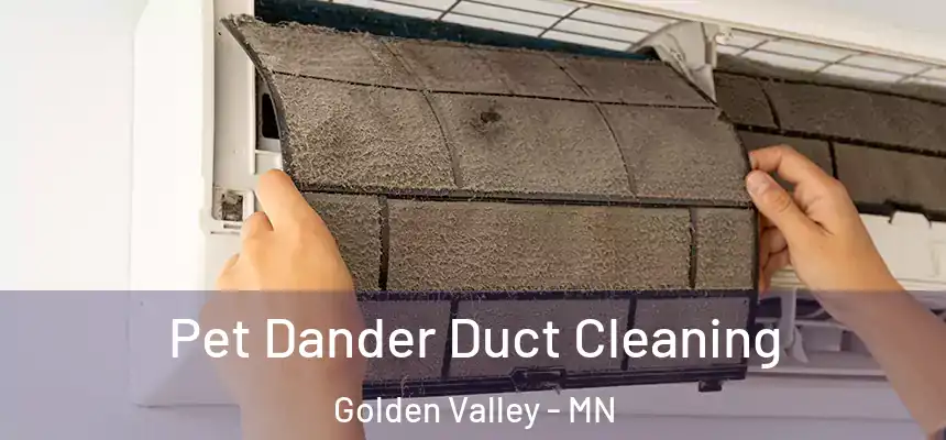Pet Dander Duct Cleaning Golden Valley - MN