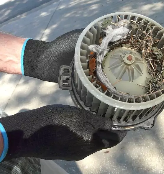 About Air Duct Mice Removal in Golden Valley, MN