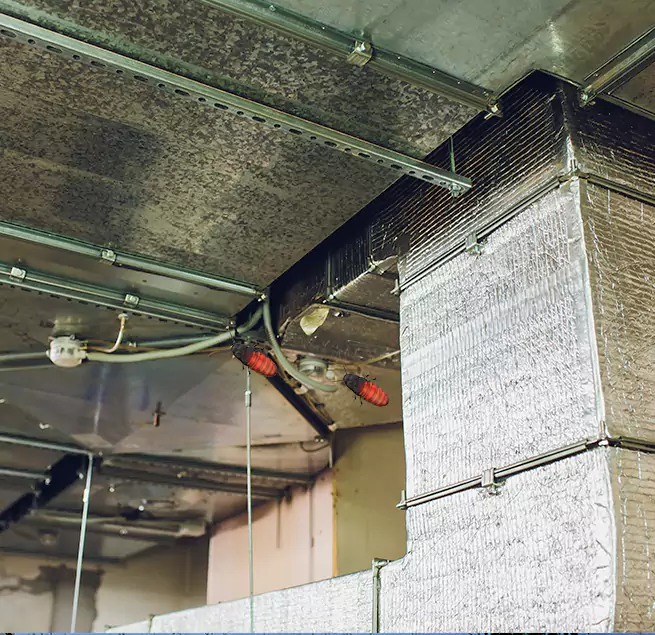 Why Homeowners & Businesses Trust Us in Golden Valley, MN?