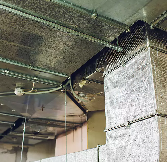 Why Homeowners & Businesses Trust Us in Golden Valley, MN?